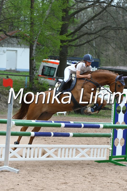 203M7010_Gracy Girl_Spring_Axx.JPG